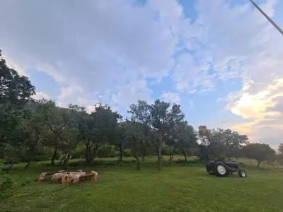 an old truck parked in a field with a group of animals at Mountain Villa House in Hartbeespoort