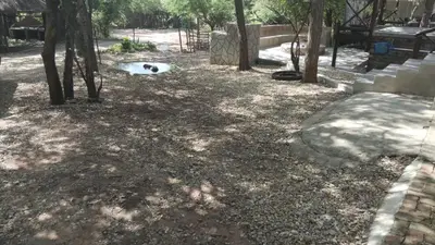 a frisbee laying on the ground next to trees at Amani Milele (Everlasting Peace) in Marloth Park