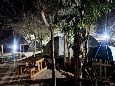 a group of tents and a picnic table next to trees at MAKWATAMBANI GUEST MANOR in Thohoyandou