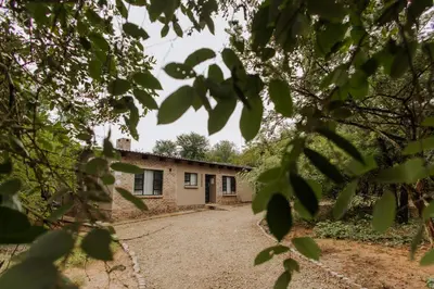 a house is seen through the leaves of trees at Afri Villa Stays - Luxury Bush Villa Hyena in Marloth Park