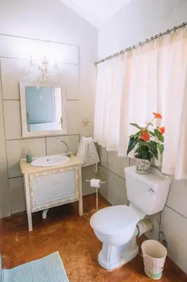a bathroom with a toilet and a sink at Blue Bell Guesthouse in Tzaneen