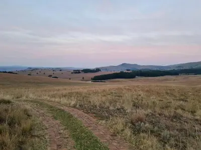a dirt road in the middle of a field at Stone Castle, Dullstroom Country Estate in Dullstroom
