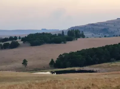 a large open field with trees in the distance at Stone Castle, Dullstroom Country Estate in Dullstroom