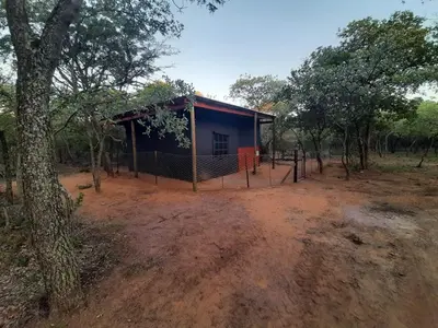 a small building in the middle of a forest at VlakkiesKraal Bosbok Camp in Bela-Bela
