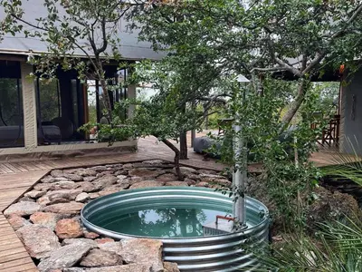 a small pond in the middle of a yard at Bushveld Bivouac Private Camp in Mica