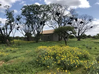 a house in a field with trees and flowers at The Barnhouse in Hammanskraal