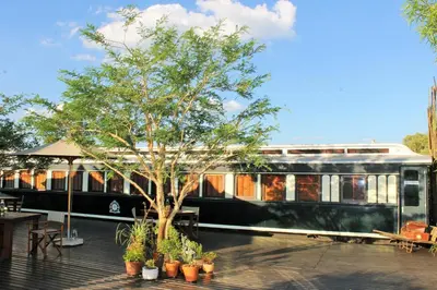 a black train car with a tree on a deck at Out in Africa Wildlife Lodge in Dinokeng Game Reserve