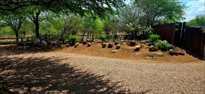 a garden with cacti and plants in a fence at Makhato Bush Lodge 48 in Bela-Bela