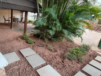 a garden with a palm tree and a patio at B&O's Place in Pretoria