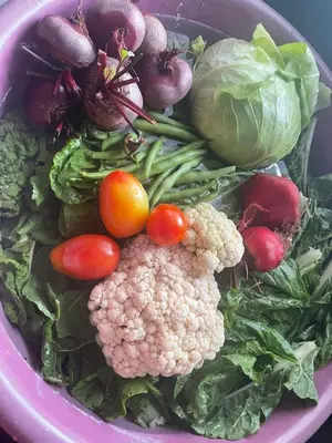 a pink bowl filled with vegetables on a table at Country living in the City in Midrand