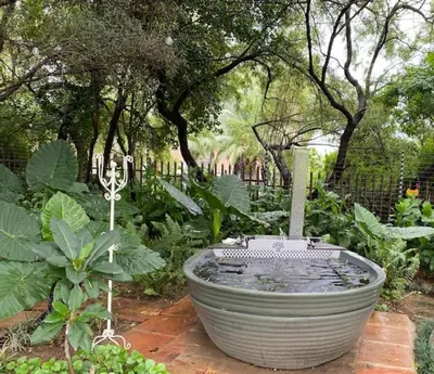 a large bird bath sitting in a garden at Country living in the City in Midrand