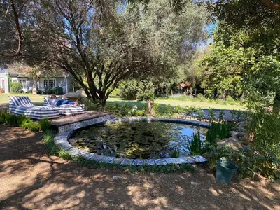 a pond in a yard with a bench and trees at Country living in the City in Midrand