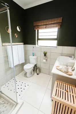 a bathroom with a toilet and a green wall at Chawal Stays Swartwitpens in Marloth Park