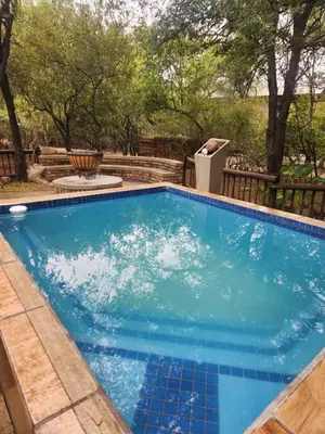 a swimming pool in a yard with trees at Kudu Mal in Marloth Park