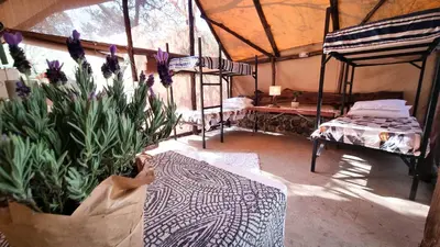 a room with a tent with a table and flowers at Montrose River Lodge in Schoemanskloof