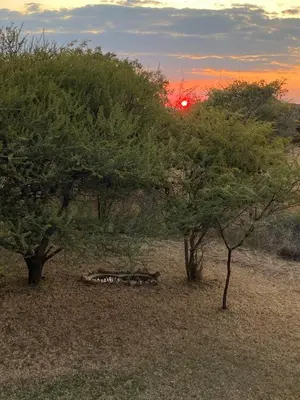 a group of trees with a sunset in the background at Luna Crescente 19 and 19A Zebula golf and spa resort 14 Pax Bela Bela Limpopo in Mabula