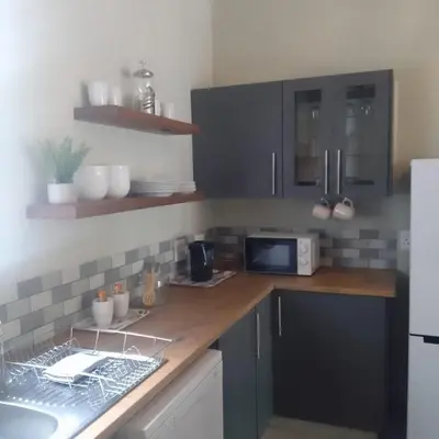 a kitchen with a counter with a sink and a microwave at Sonador Bush House in Marloth Park