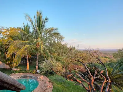 a swimming pool in a yard with palm trees at Ehlathini Game Lodge in Marken