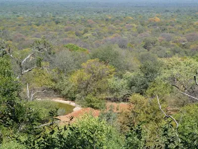 an aerial view of a forest with a river at Ehlathini Game Lodge in Marken
