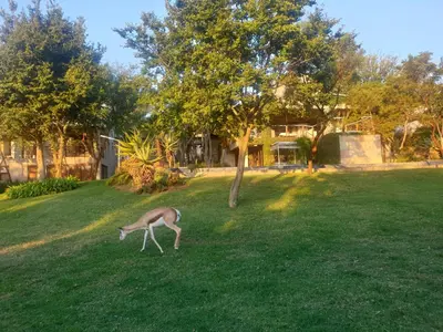 a gazelle grazing in the grass in a yard at Luxurious Hideaway Villa in Midrand
