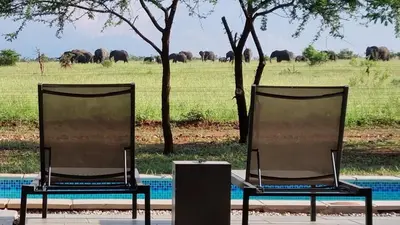two chairs sitting next to a pool with elephants in the background at Lindi Lodge, Mjejane Game Reserve in Hectorspruit