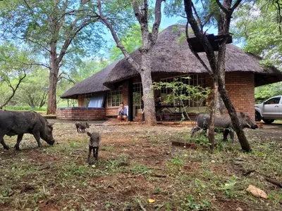 a woman standing in front of a house with pigs at Hardekool Home Marloth Park in Marloth Park