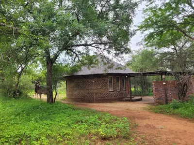 a deer standing in front of a brick building at Hardekool Home Marloth Park in Marloth Park