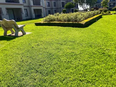 a statue of a sheep sitting on a bench in the grass at Siena Sun Luxury Suites in Erand