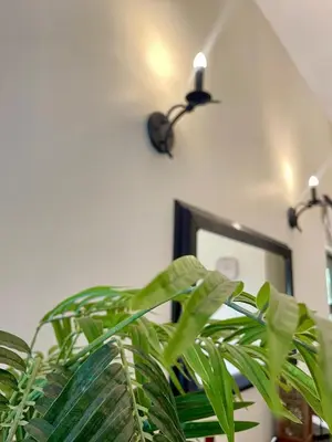 a plant in a room with a mirror and lights at 213 Zebula Golf Estate & Spa - 4 Bedroom Home in Mabula