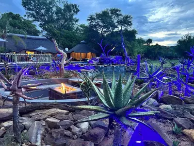 a garden with cacti and a fire pit with blue flowers at Sambane Game Lodge in Bracondale