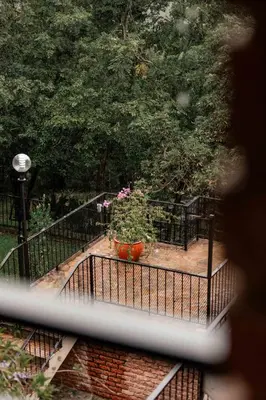 a view of a fence with a potted plant at The Green Lizard Guesthouse in Nelspruit