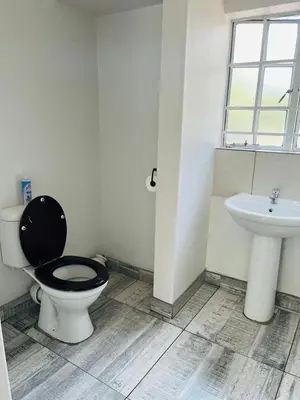 a bathroom with a toilet and a sink at WOODS GUEST HOUSE in Middelburg