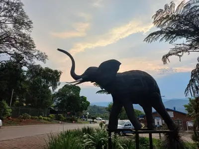 a statue of an elephant standing on a bench at The Big tree @ Sabie in Sabie