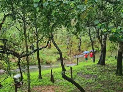 two people walking down a path with umbrellas at Timbaktu River Cottages in Moheme