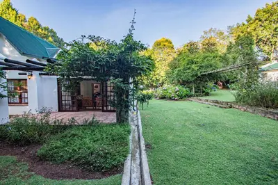 a garden with a tree in the middle of a yard at Crossroads Cottage in Dullstroom