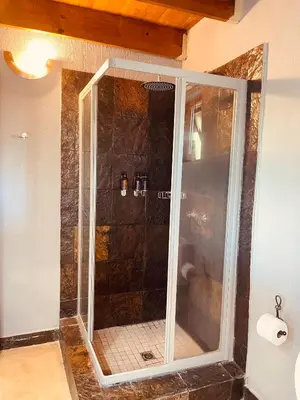 a shower with a glass door in a bathroom at Ingwe Bush Lodge in Hoedspruit