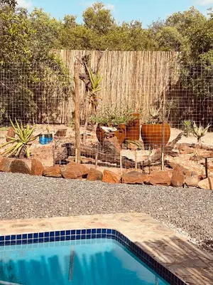 a backyard with a fence and a swimming pool at Ingwe Bush Lodge in Hoedspruit