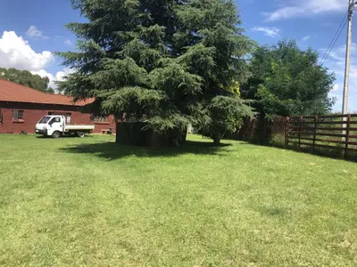 a tree in a yard next to a fence at Home Way Studio Sleeps 2 with Garden in Springs