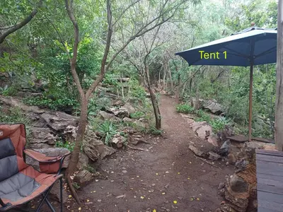 a trail in the woods with a bench and an umbrella at Rustic Unique - Bush Glamping Retreat in Kalkheuvel