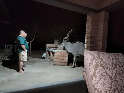a man standing next to a statue of a bull at Sonop in Marloth Park in Marloth Park