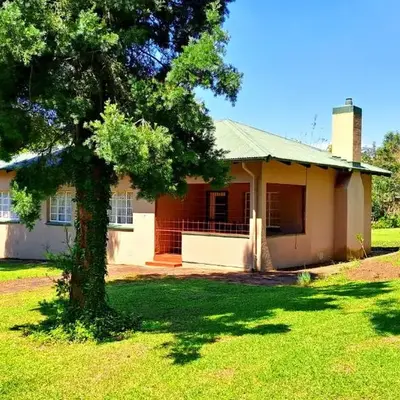 Pine Forest Cottage