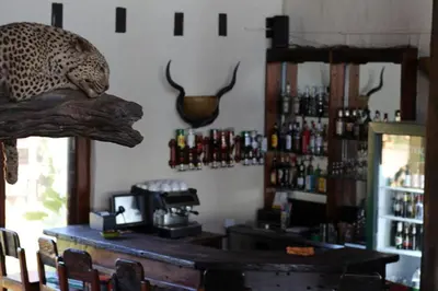 a bar with a leopard head on the wall at Ndlovu Lodge in Pretoria