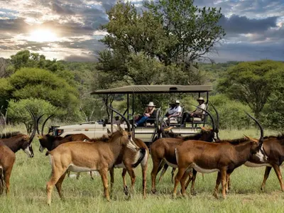a group of people riding in a safari vehicle with horses at Sable Ranch Bush Lodge in Brits