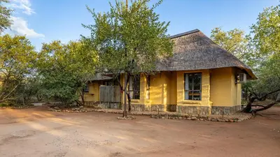 a yellow house with a tree in front of it at Hoedspruit Bush Cottage in Hoedspruit