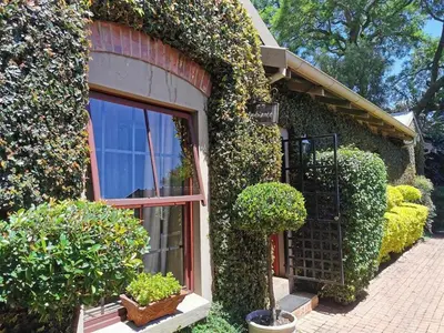 an ivy covered building with a window and bushes at Ambiance Guesthouse in Pretoria
