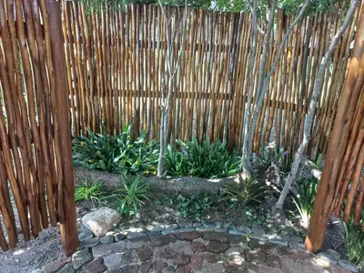 a fence with bamboo trees in a garden at Cosy Corner in Kampersrus AH