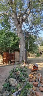 a park with a tree and a wooden bench at Cosy Corner in Kampersrus AH