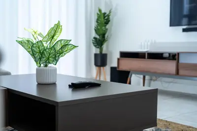 a black coffee table with a vase with plants on it at Fealathome Apartment in Midrand