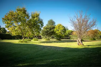 a field of grass with a tree in the middle at Machado Stay Pecan Cottage 1 in Machadodorp
