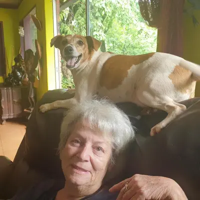 a dog is standing on top of a woman at Thathe Dam Lodge in Vhutandabos